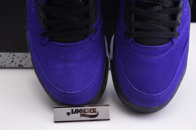 5 Jordan Retro Alternate 136027-500 Grape Air 0728